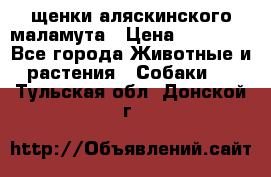 щенки аляскинского маламута › Цена ­ 20 000 - Все города Животные и растения » Собаки   . Тульская обл.,Донской г.